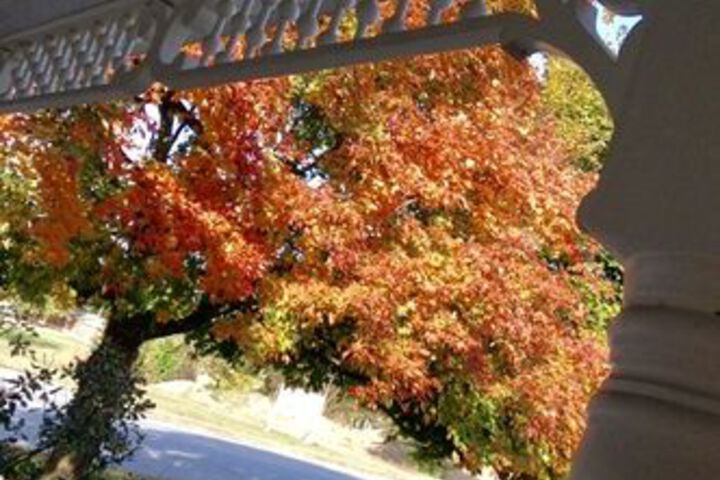 Florence Inn Bed and Breakfast
