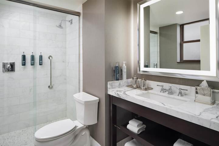 Hilton Chicago