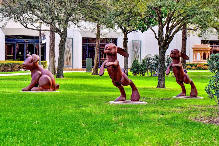 Hilton Anatole