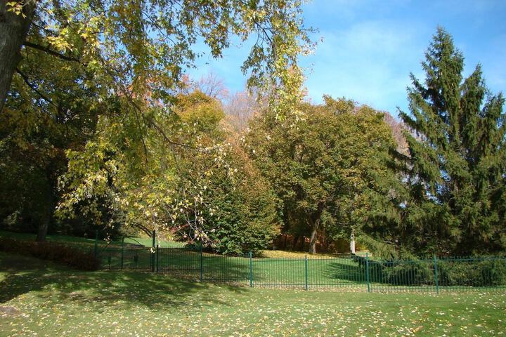 Property Grounds 35 of 41
