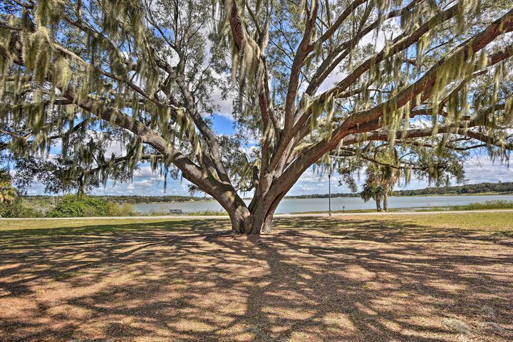 Cottage w / Private Pool - Walk to Lake Wales!
