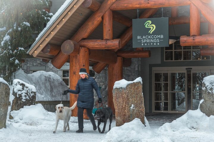 Pet Friendly 94 of 104