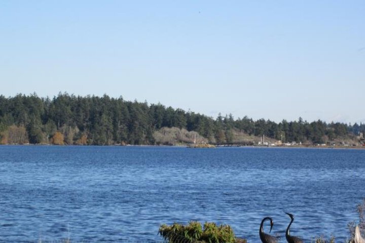 Royal Roads Oceanfront