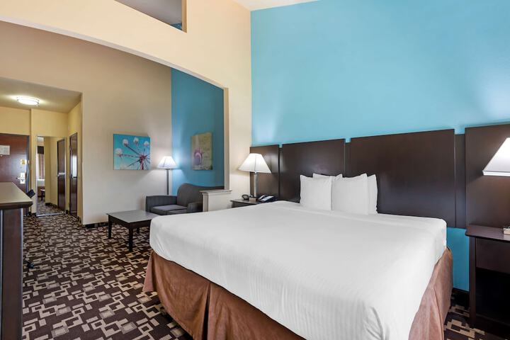 Best Western Plus Arlington North Hotel & Suites