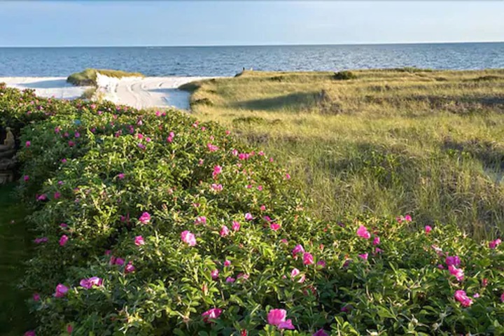 Beach 60 of 73