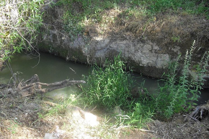 Property Grounds 39 of 46