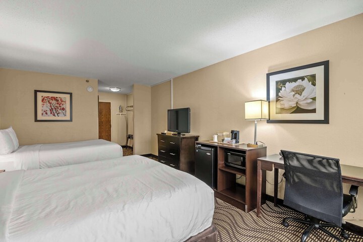 Room 41 of 51