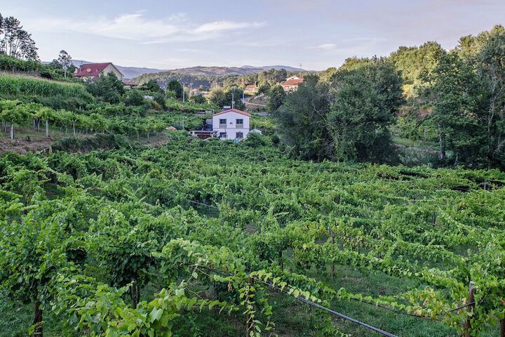 Casa da Cevidade