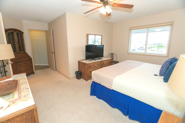 The Grey Gull