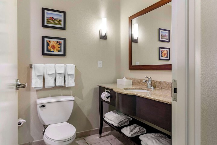 Comfort Suites Helena Airport