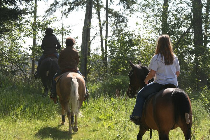 Wildwood Farm B & B