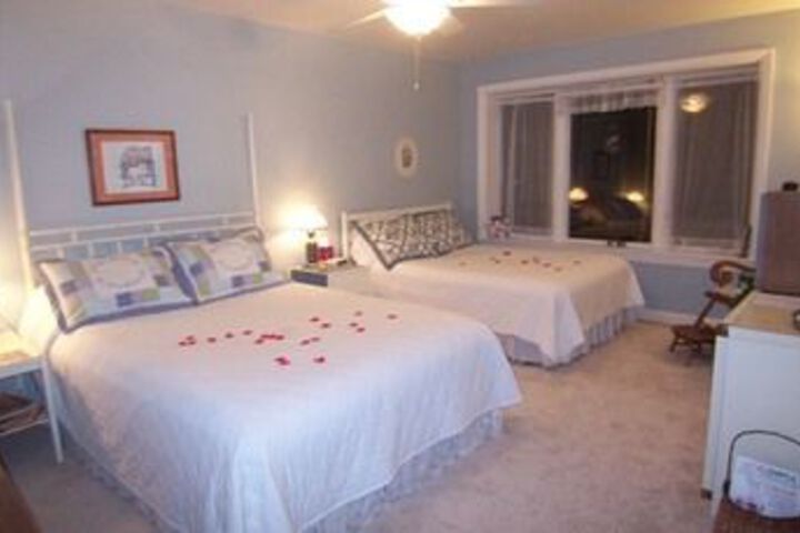 Tree Top Bed & Breakfast