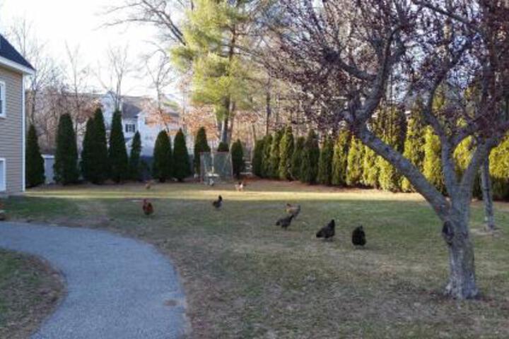 Cozy Quiet Getaway Surrounded by Nature 19 Miles To Downtown Boston