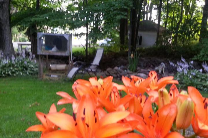 Kountry Living Bed and Breakfast