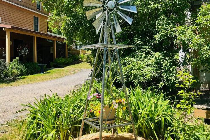 Homesteading at 55 main