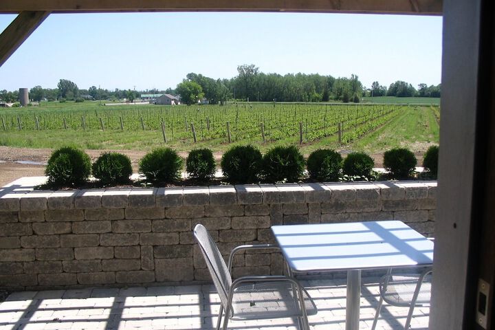 Terrace/Patio 36 of 46
