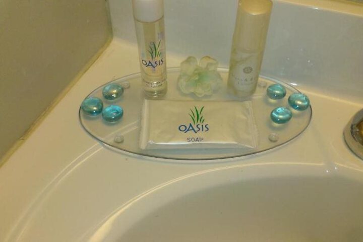TOWN HOUSE INN ONEONTA