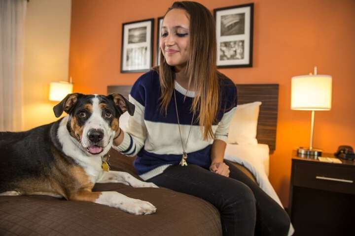 Pet Friendly 67 of 74