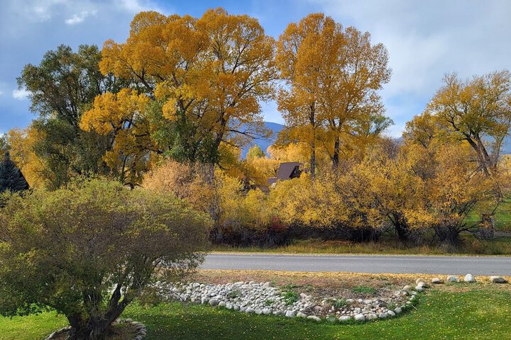 Buffalo Peaks B & B