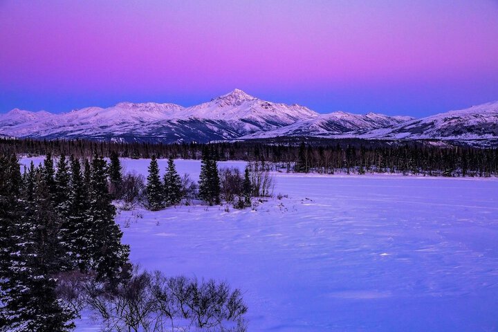 Denali Lakeview Inn