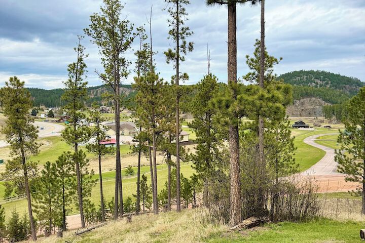 Mountain View Lodge & Cabins