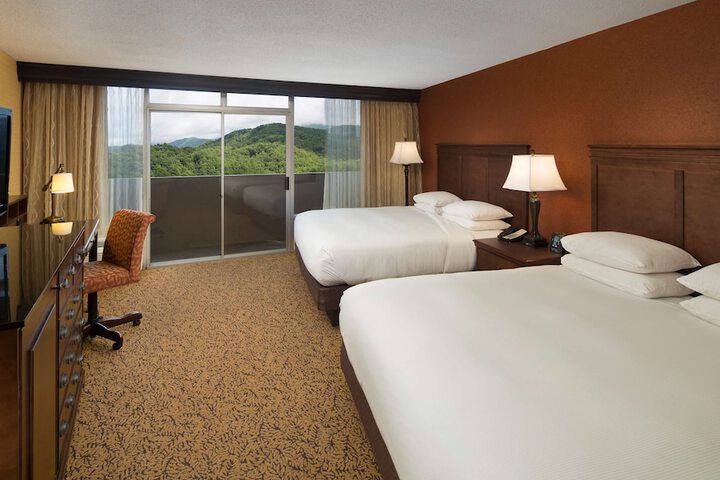 The Park Vista - a DoubleTree by Hilton Hotel - Gatlinburg