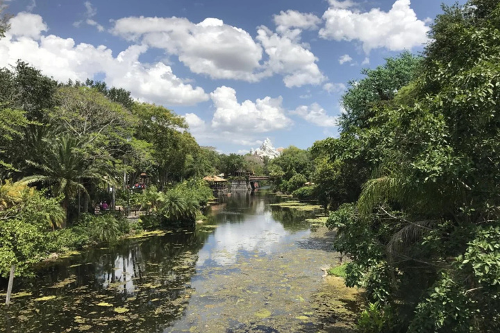 Grand Palms Resort by Sun Country Villas