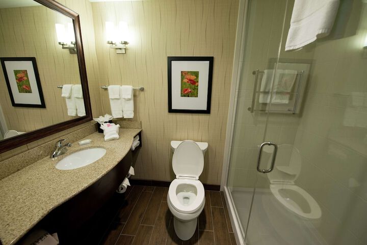 Hilton Garden Inn Dayton South-Austin Landing