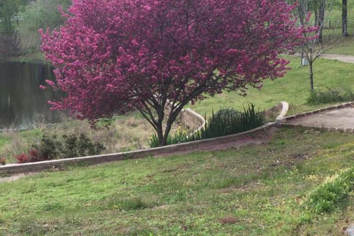 Dogwood Springs Lodgings