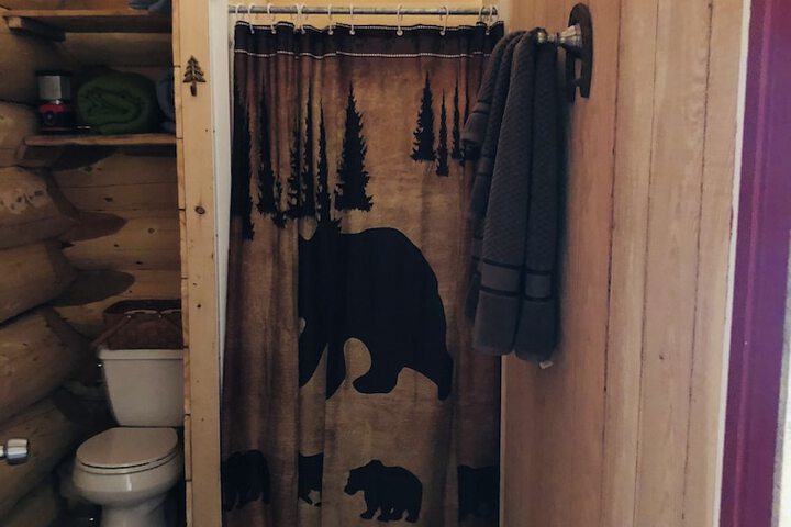 Wrangell Mountain Lodge