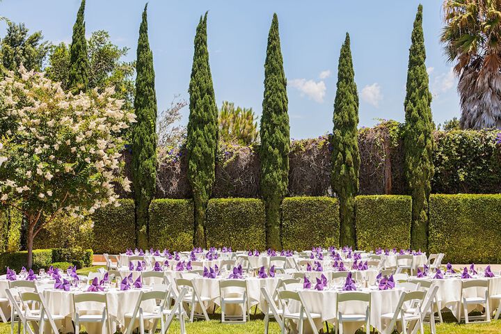 Wedding/Banquet 36 of 38