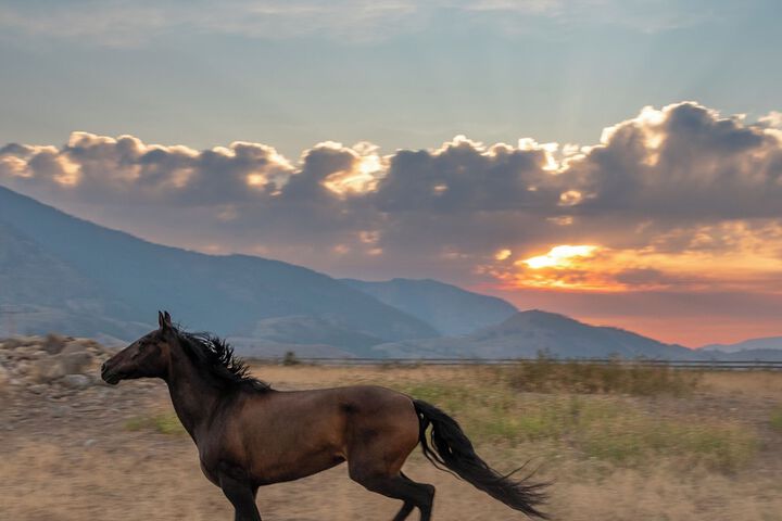 Casia Lodge and Ranch