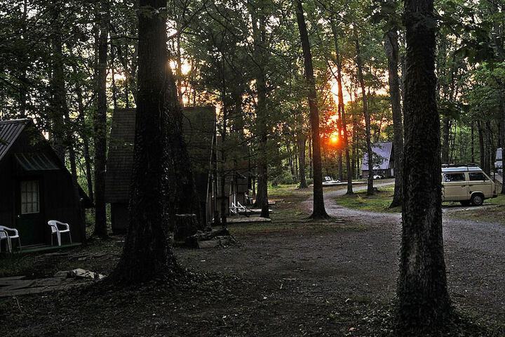 Pandoras Forest - Adults Only
