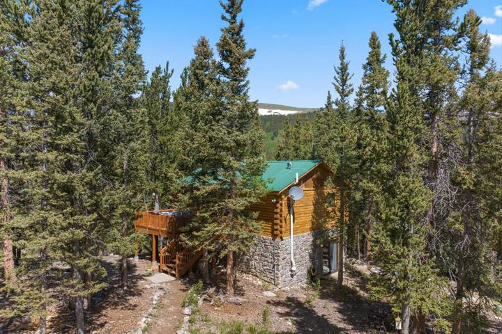 Relaxing Alpine Oasis - Minutes from Breckenridge