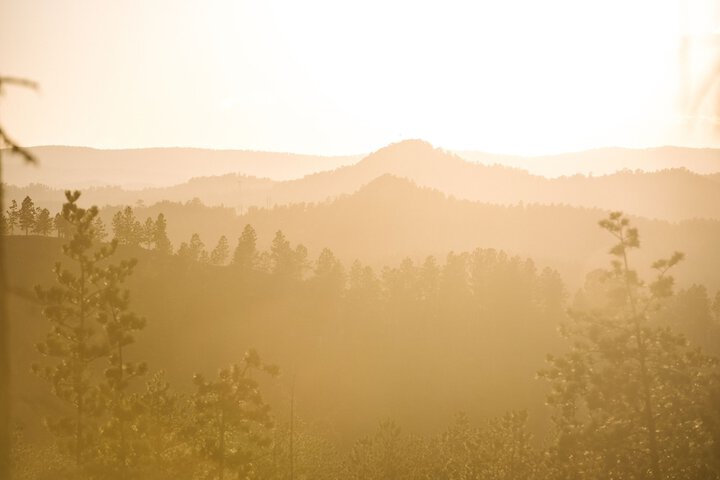 Comfort Inn & Suites Custer - Crazy Horse Area