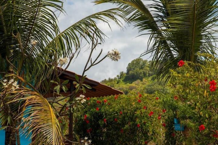 Casa Pitanga Noronha