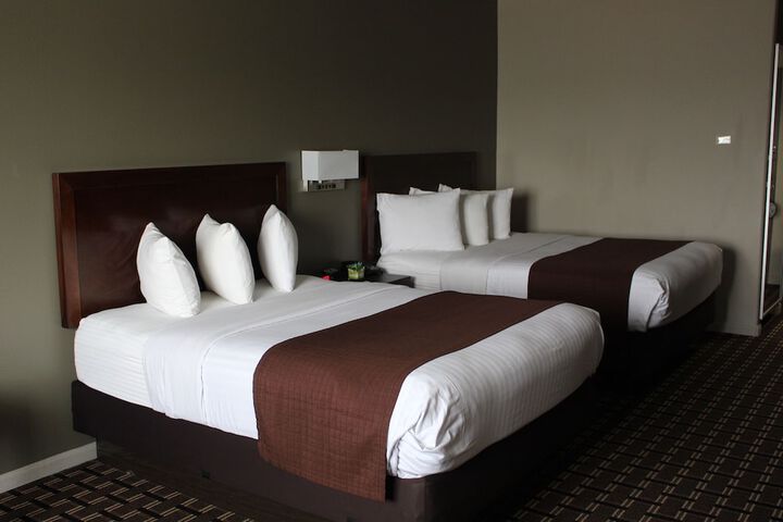 Room 51 of 65