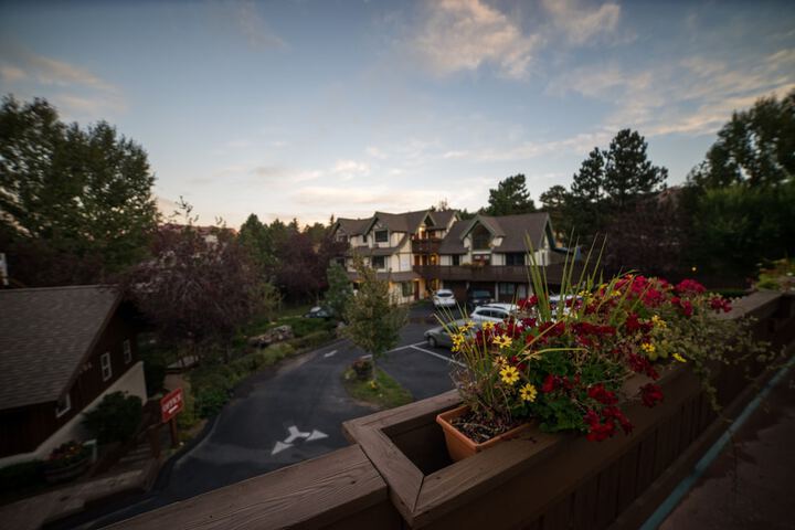 Terrace/Patio 216 of 242