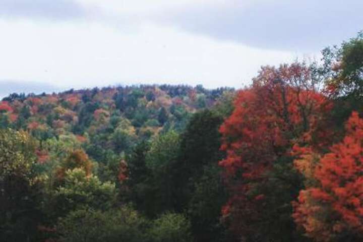 Sturbridge Country Inn
