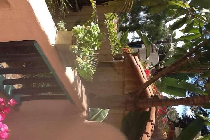 Terrace/Patio 75 of 83