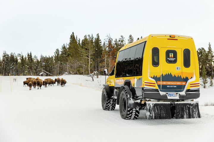 Holiday Inn West Yellowstone by IHG.