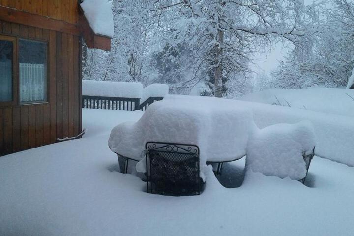 Alaska Chalet Bed & Breakfast