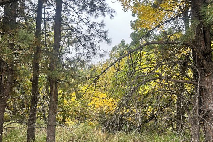 Days End Campground & RV Park