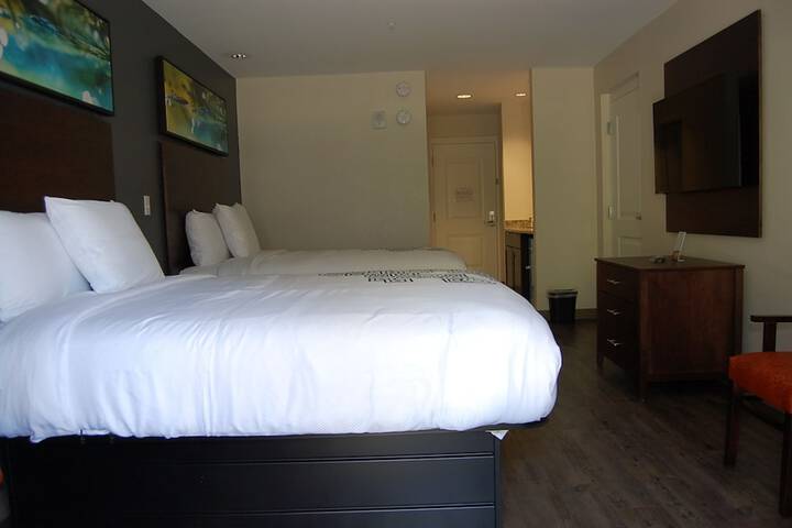 Room 41 of 150