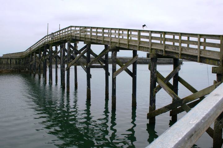 Islander Westport