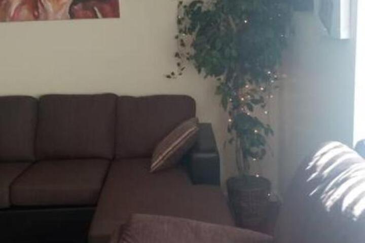 Suite 3