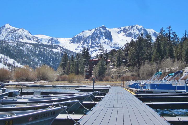 Lake Front Cabins