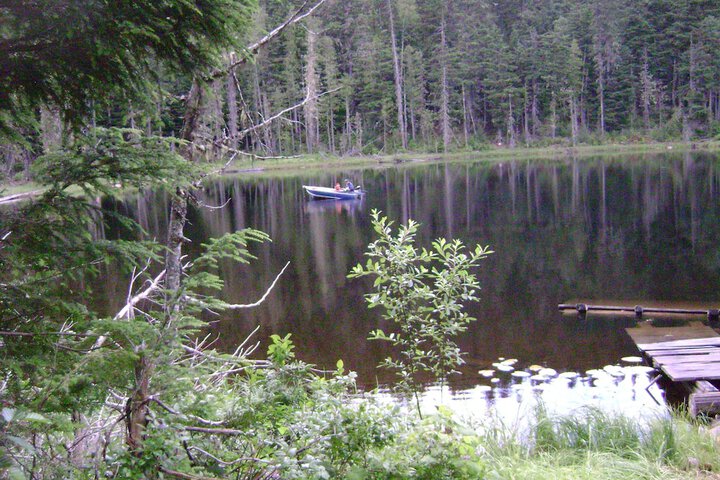 Blue River Cabins Campground & RV Park