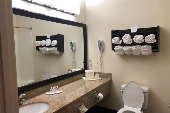 Comfort Suites Stevensville - St. Joseph