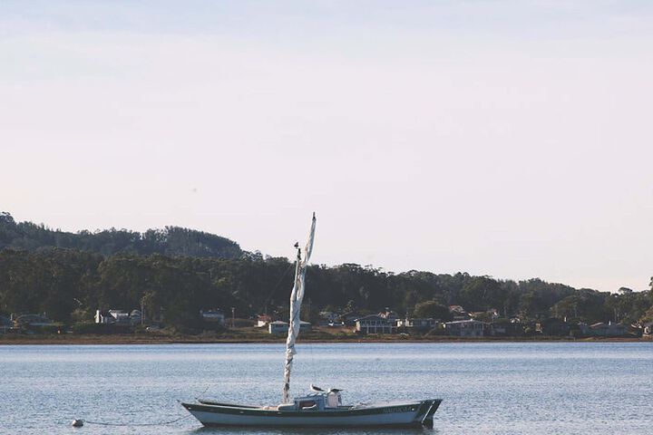 Beach 50 of 74